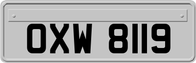 OXW8119