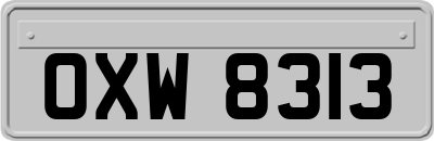 OXW8313