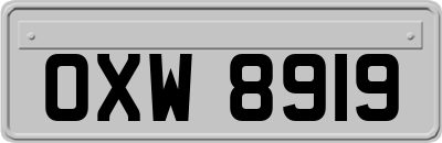 OXW8919