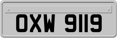 OXW9119