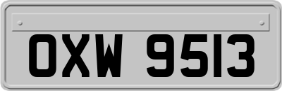 OXW9513