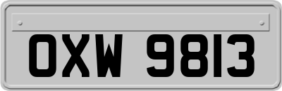 OXW9813