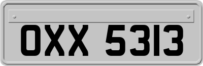 OXX5313