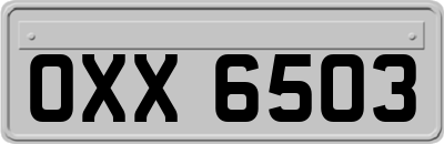 OXX6503