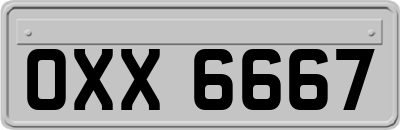 OXX6667