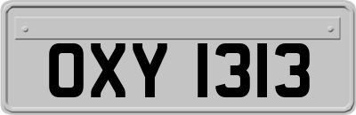 OXY1313