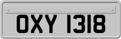 OXY1318