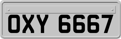 OXY6667