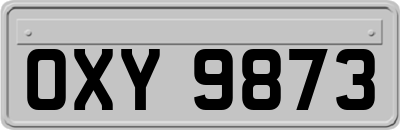OXY9873