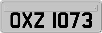 OXZ1073