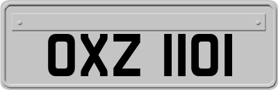 OXZ1101