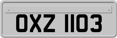 OXZ1103