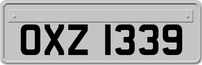 OXZ1339