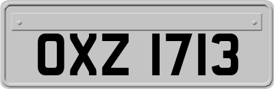 OXZ1713
