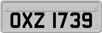 OXZ1739