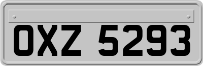 OXZ5293