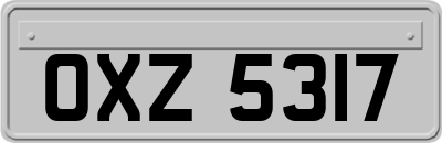 OXZ5317