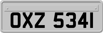 OXZ5341