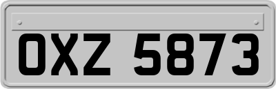 OXZ5873