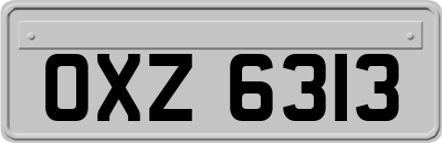 OXZ6313