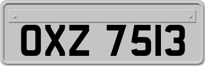 OXZ7513