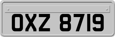 OXZ8719