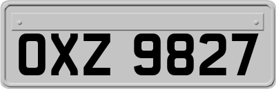 OXZ9827