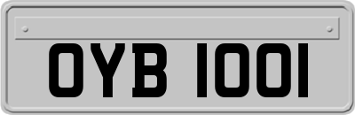 OYB1001