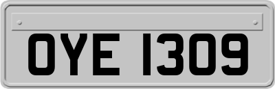OYE1309