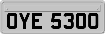 OYE5300