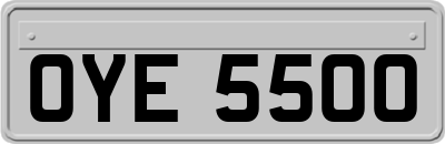 OYE5500