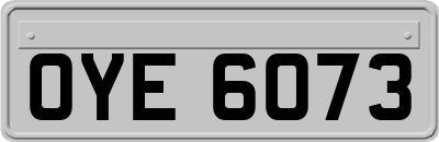 OYE6073