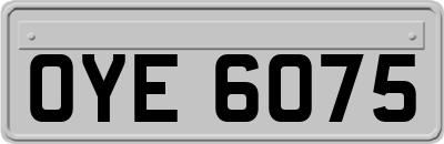 OYE6075