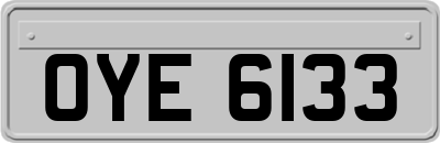 OYE6133