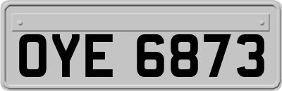 OYE6873