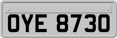 OYE8730