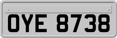 OYE8738