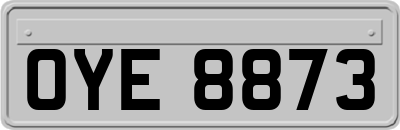 OYE8873