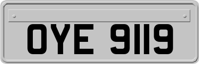 OYE9119