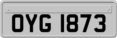 OYG1873