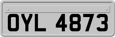 OYL4873