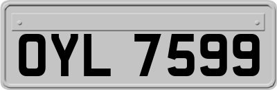 OYL7599