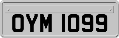 OYM1099