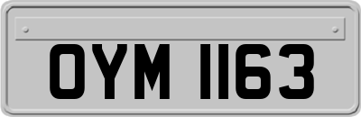 OYM1163