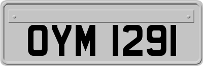 OYM1291