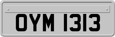 OYM1313