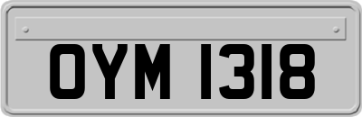 OYM1318