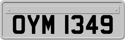 OYM1349