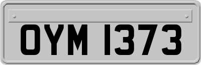 OYM1373