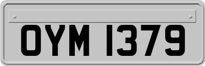 OYM1379